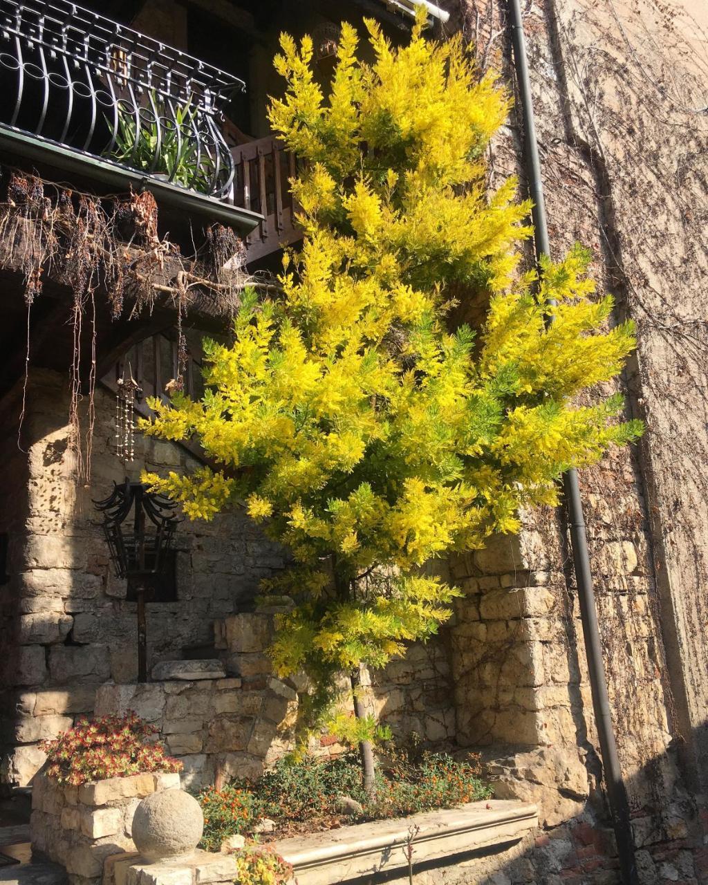 Torre De Salis Bed & Breakfast Gussago Exterior photo